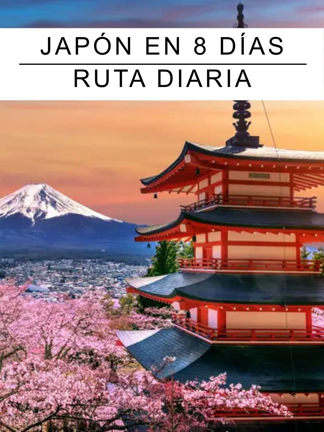 Guías de Japón 8 días