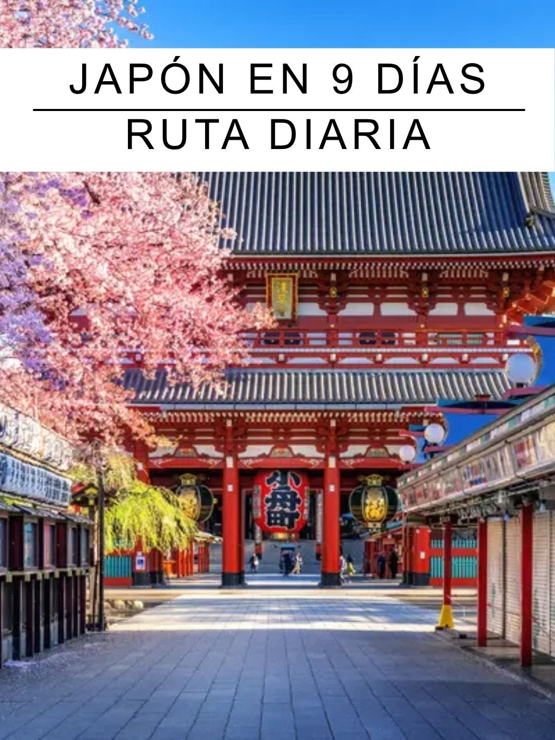 Guías de Japón 9 días